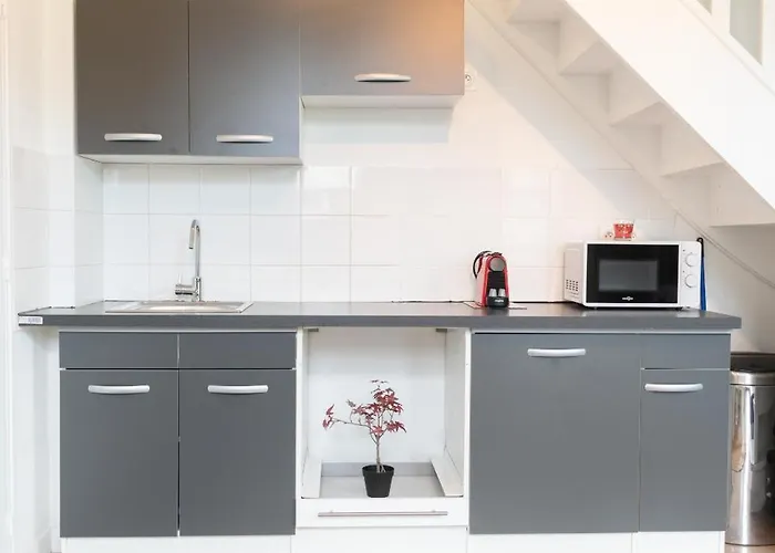 Le Hangar Fleuri 公寓 *